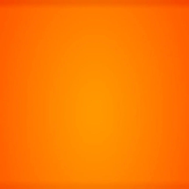 Bodur Japandi Style Luxury Modern Orange Boucle Fabric Curvy Arm Couch