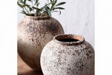 Seraph Vase